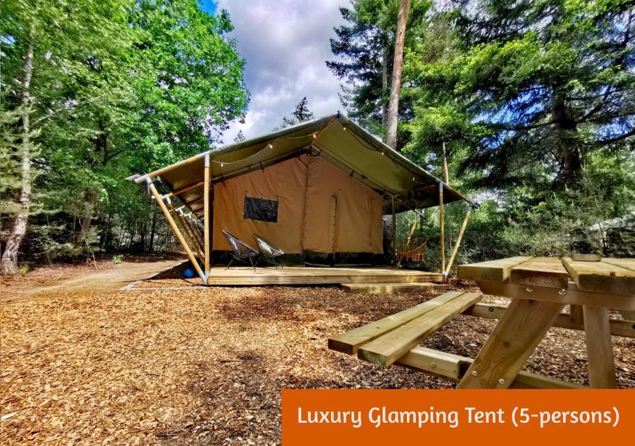 הולטן Glamping In Nature By Outdoors מראה חיצוני תמונה