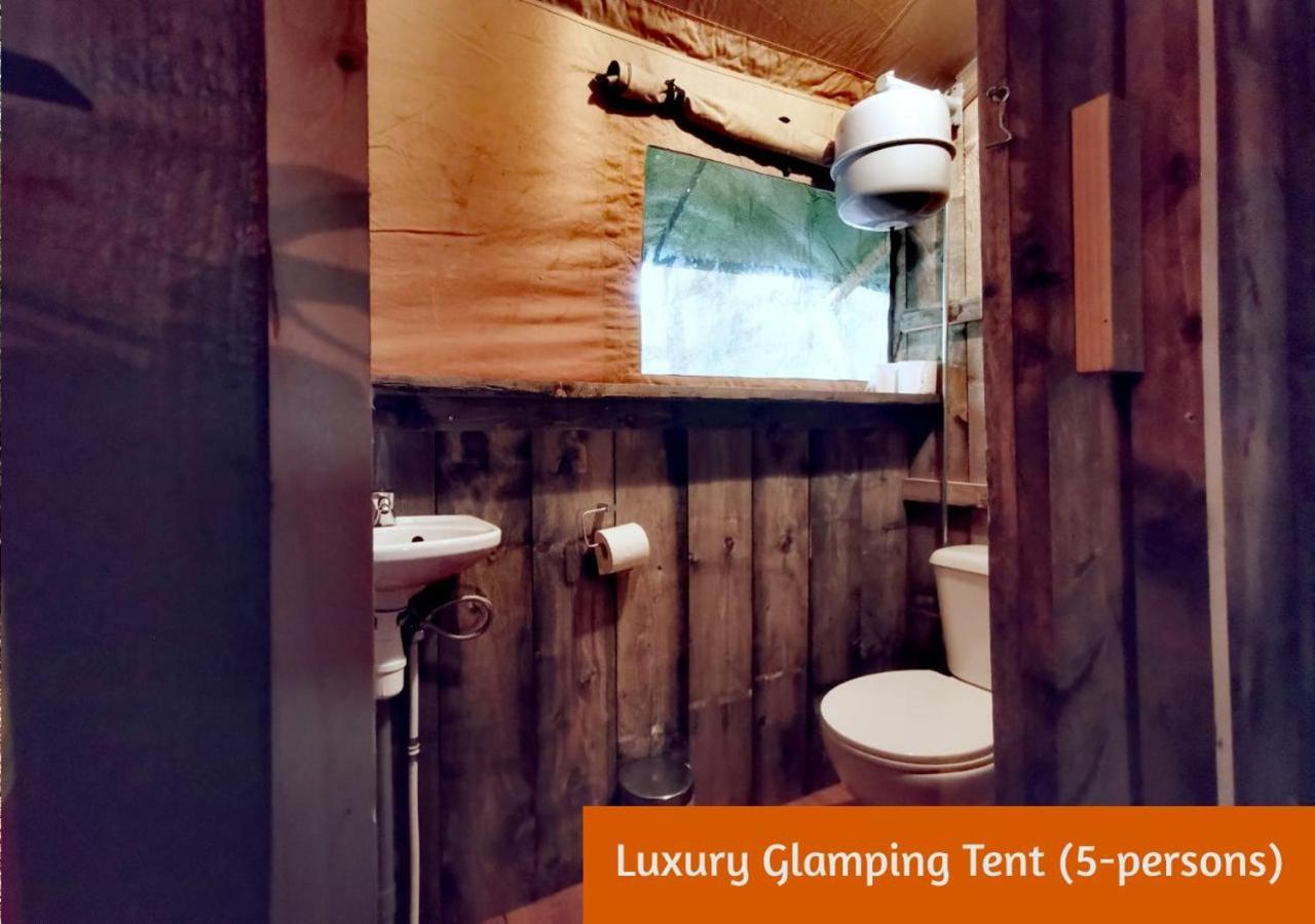 הולטן Glamping In Nature By Outdoors מראה חיצוני תמונה