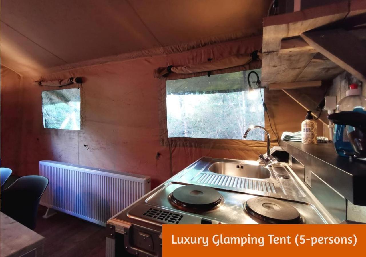 הולטן Glamping In Nature By Outdoors מראה חיצוני תמונה