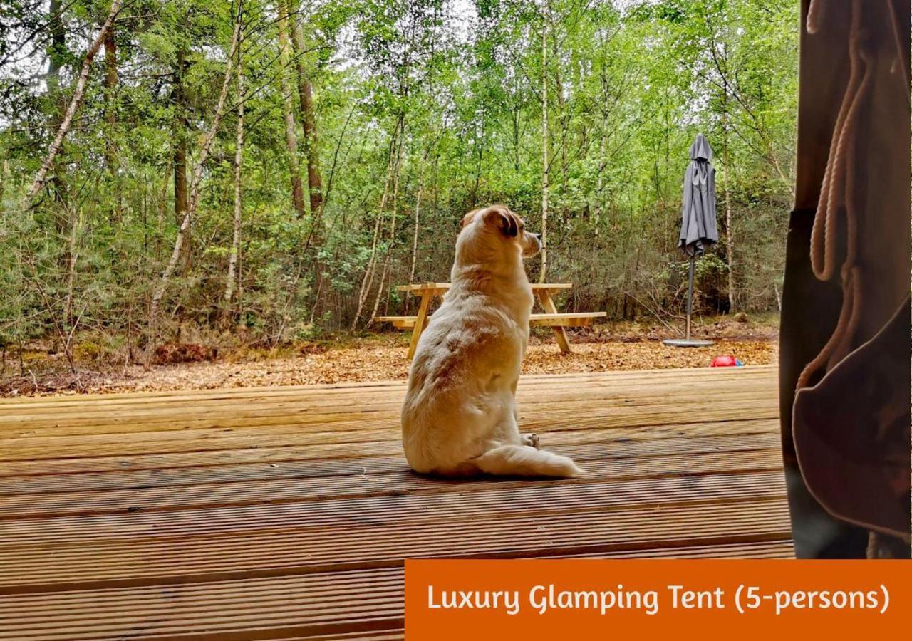 הולטן Glamping In Nature By Outdoors מראה חיצוני תמונה