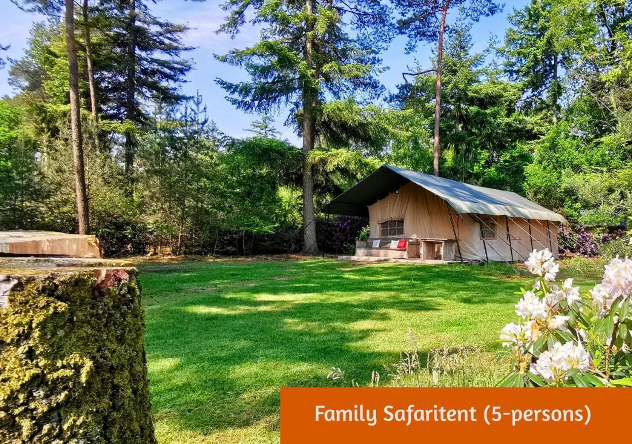 הולטן Glamping In Nature By Outdoors מראה חיצוני תמונה