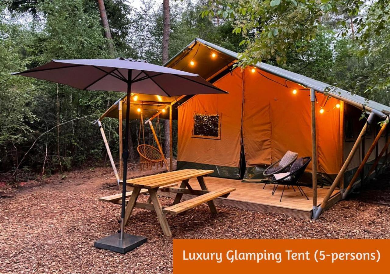הולטן Glamping In Nature By Outdoors מראה חיצוני תמונה